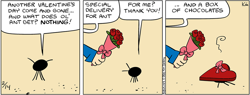 Ant’s Valentine’s Day